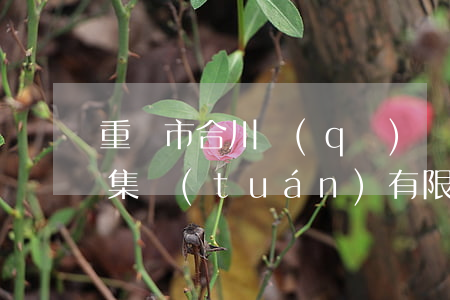 重慶市合川區(qū)萬通建設(shè)集團(tuán)有限公司、貴州省龍里縣福臨房地產(chǎn)開發(fā)有限公司建設(shè)工程施工合同糾紛二審民事判決